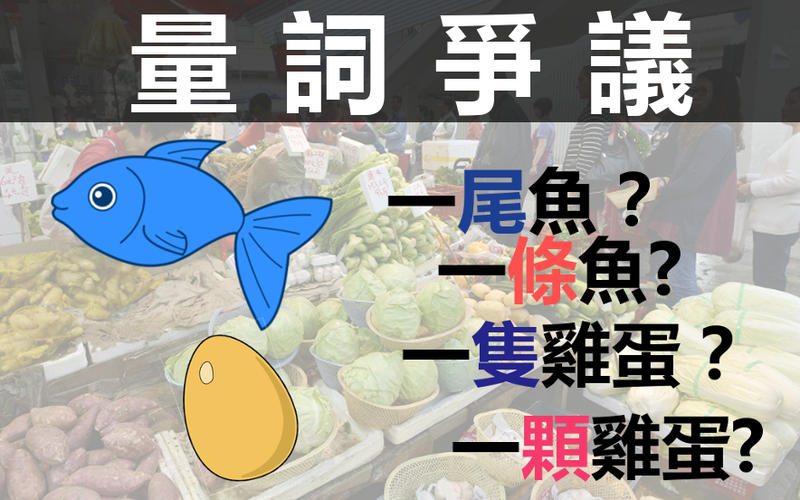 Kelly 量詞爭議一 尾 魚 一 條 魚 生活熱話