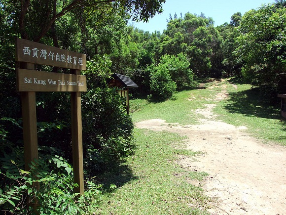 trail_004