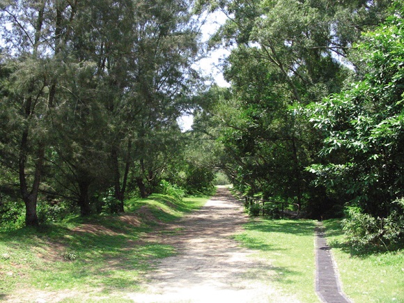 trail_005