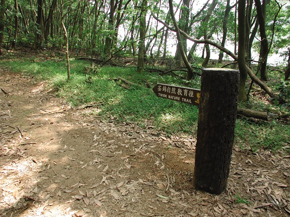 trail_007