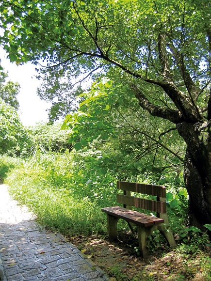 trail_012