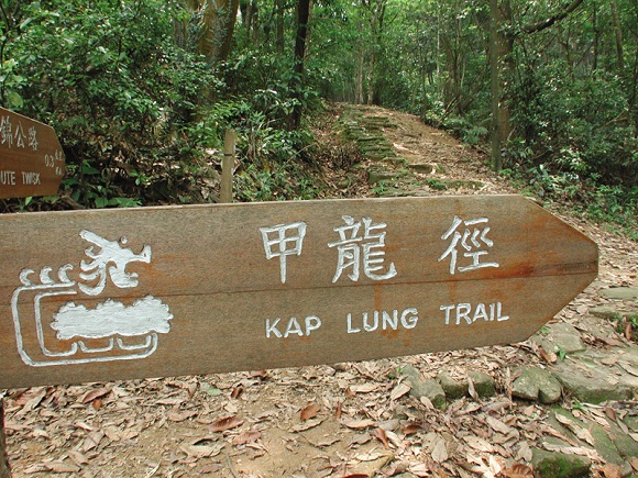 trail_037