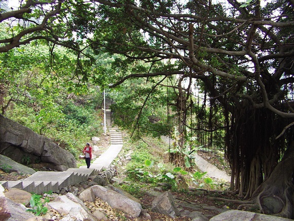 trail_040