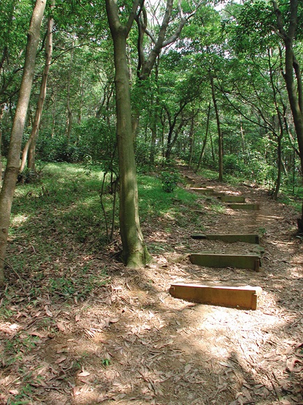 trail_053