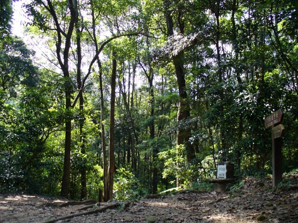 trail_057