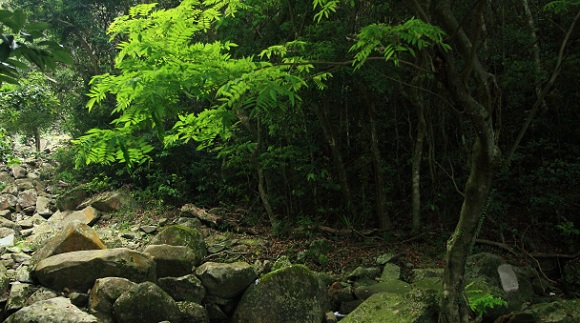 trail_060