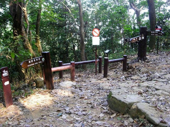trail_061