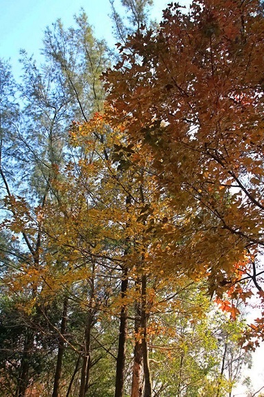 trail_064