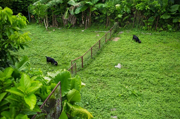 trail_066