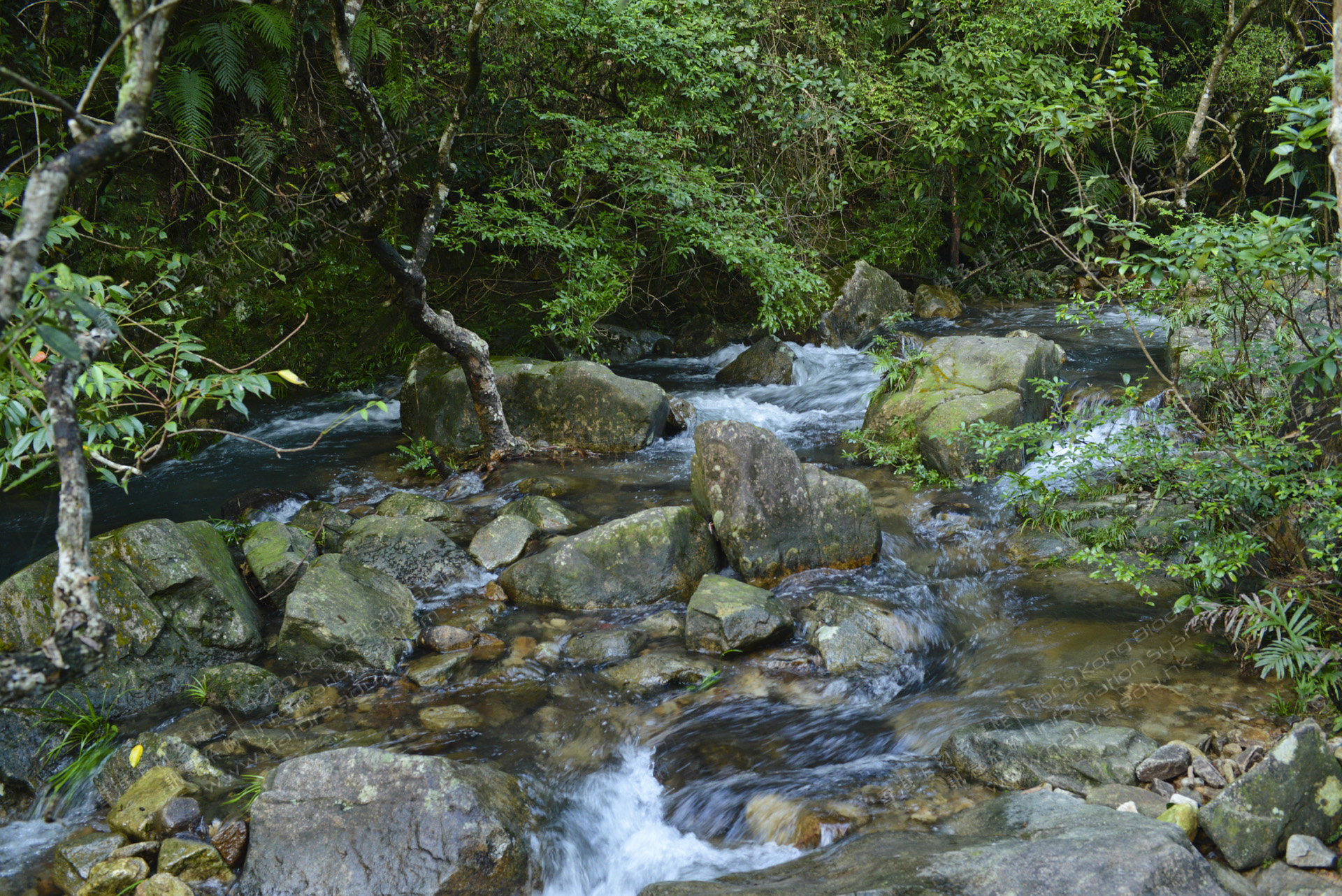 Hong Kong Biodiversity Information System (A Quality Education Fund Project) 香港生物多樣性資訊系統 (優質教育基金資助項目)