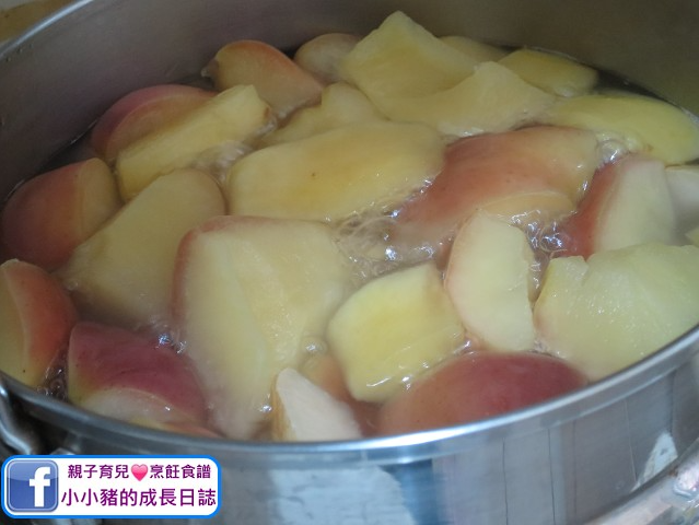 蘋果雪梨水-清熱-滋潤湯水