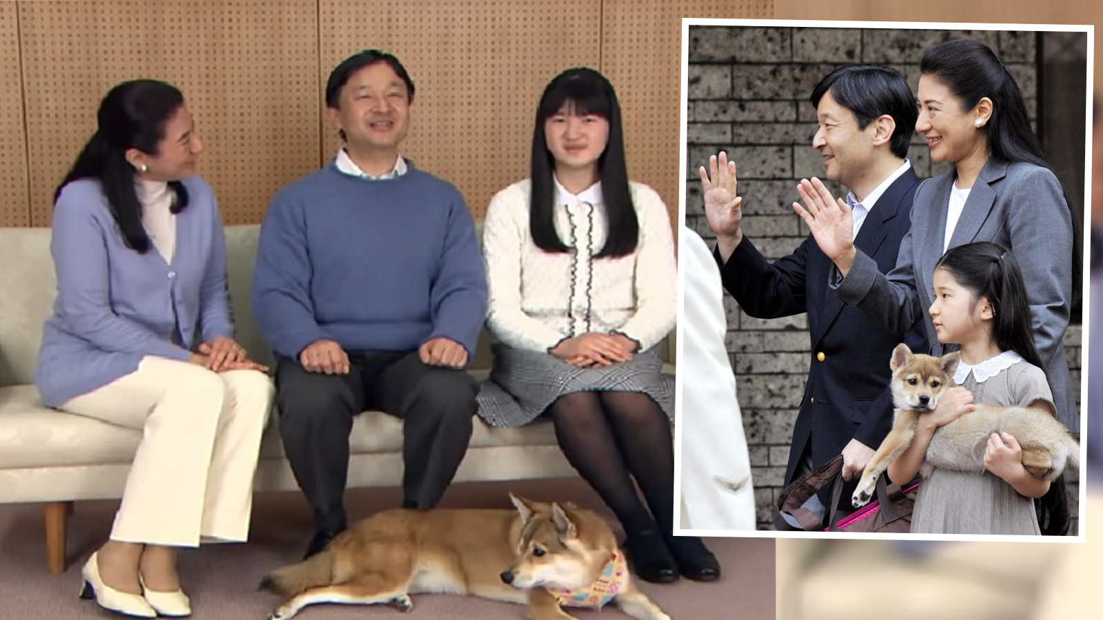 愛心爆棚 日本皇室領養流浪貓狗為寵物雅子皇后 牠們是重要的家庭成員 生活熱話 愛心爆棚 日本皇室領養流浪貓狗為寵物雅子皇后 牠們是重要的家庭成員 生活熱話